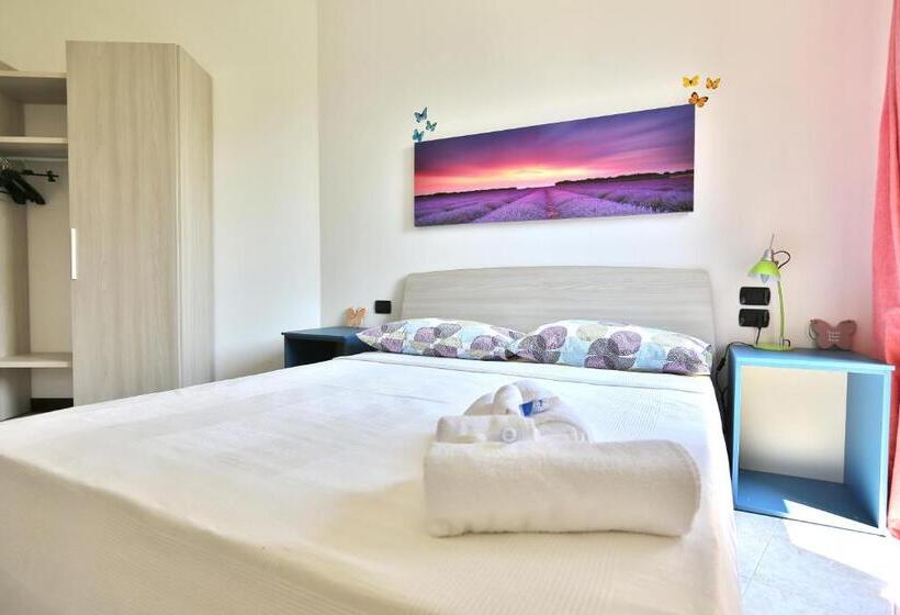 חדר סטנדרט, Camera Molly