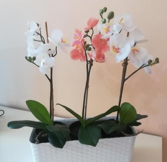 标准三人间, Duomo 15 Minuti