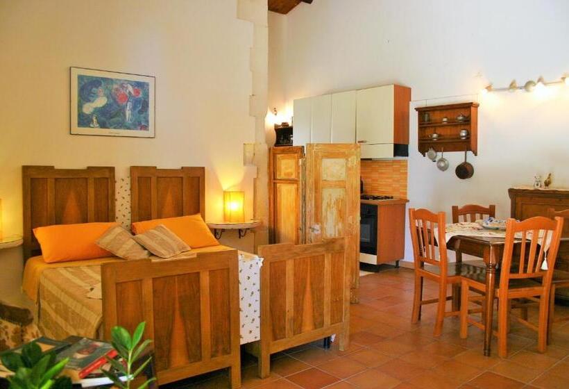 Студия Deluxe, Vinciucci