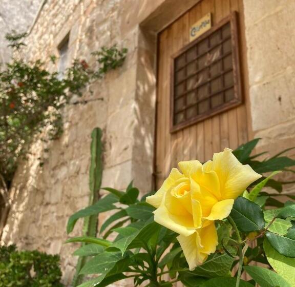 Студия Deluxe, Vinciucci