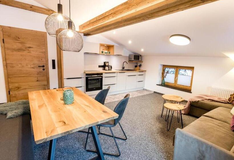 Апартаменты 1 Спальня с Видом, Appartements Retthäusl