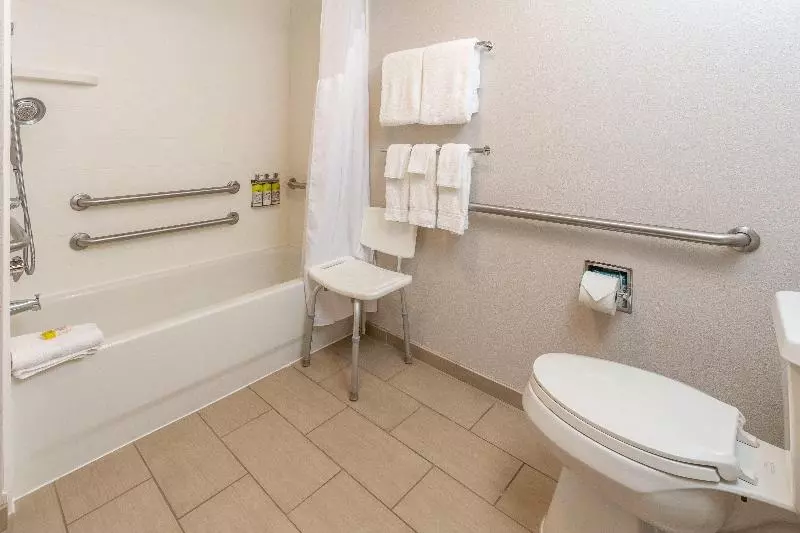اتاق استاندارد با تخت بزرگ, Holiday Inn Express & Suites Tupelo, An Ihg