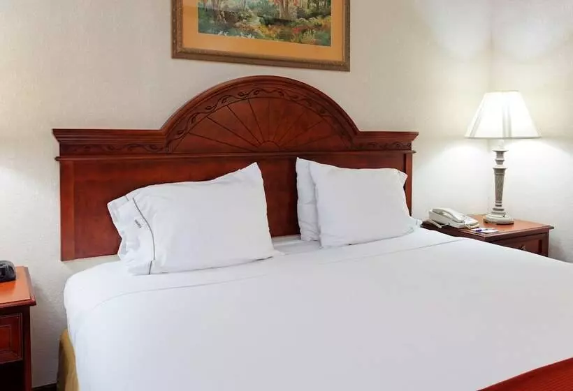 اتاق استاندارد, Holiday Inn Express & Suites Tupelo, An Ihg
