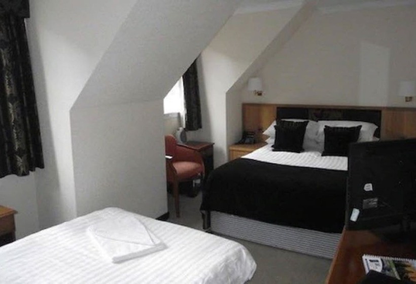 高级大房间, The Popinjay