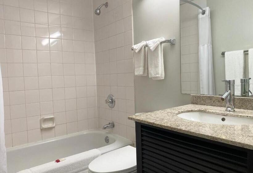 غرفة قياسية, Travelodge By Wyndham Miramichi New Brunswick