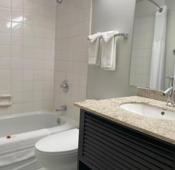 غرفة قياسية, Travelodge By Wyndham Miramichi New Brunswick