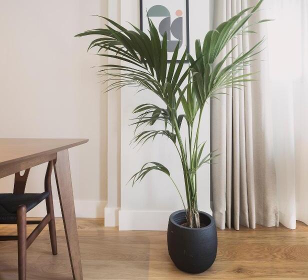 شقة غرفة واحدة, Anderson City Flats