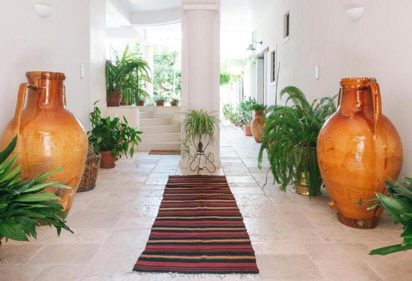 سوییت, Corte Dei Nobili