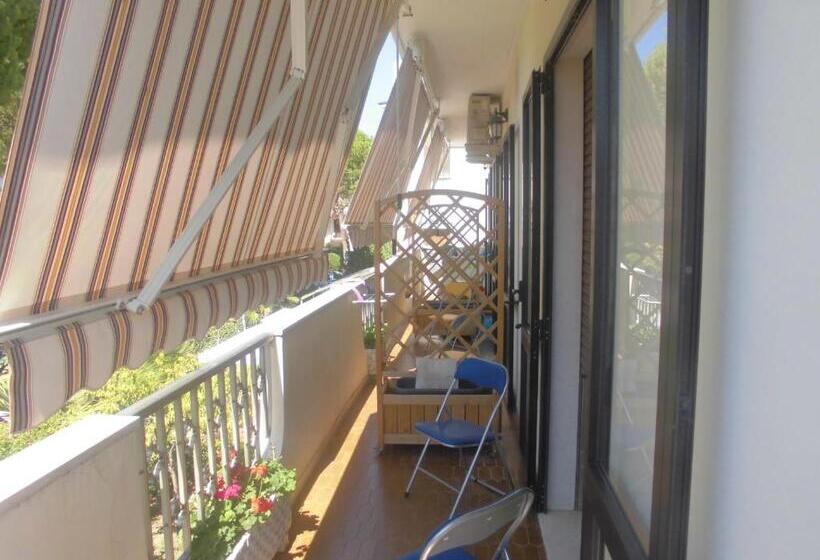 غرفة قياسية, Il Cavalluccio Marino