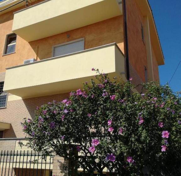 스탠다드 룸, Bb Smallville