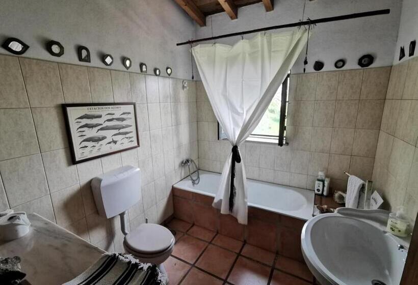 سرير فى غرفة مشتركه, Hostel Argonauta