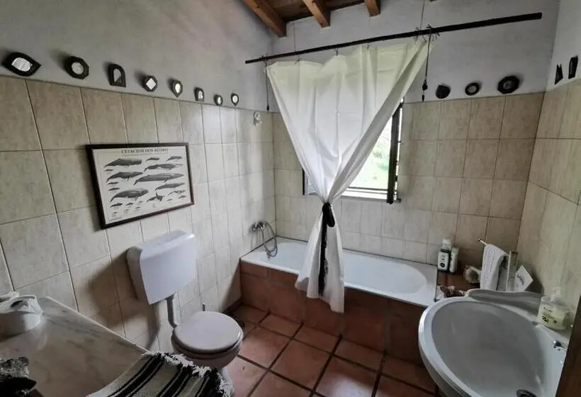 تختخواب در اتاق مشترک, Hostel Argonauta