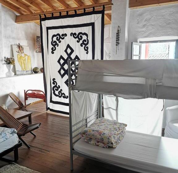 سرير فى غرفة مشتركه, Hostel Argonauta