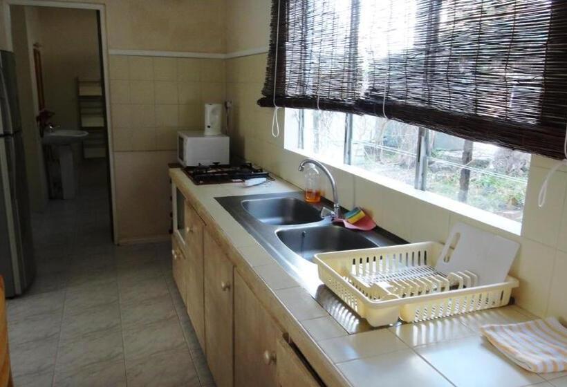 آپارتمان 1 خوابه با چشمانداز باغ, Colibri Beach Villas