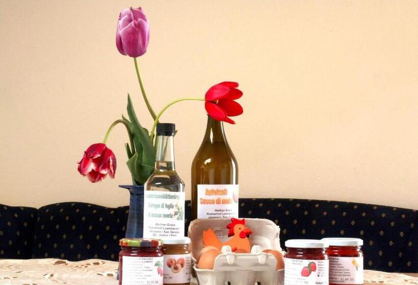 דירת חדר, Roanerhof