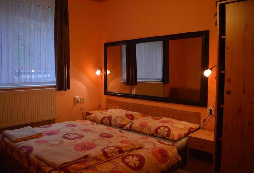 غرفة قياسية, Penzion54 & Restaurace