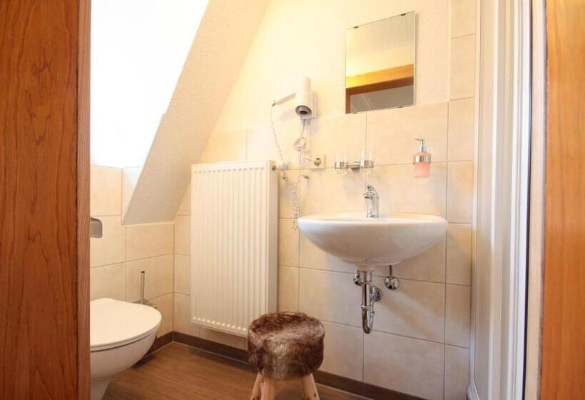 Номер Стандарт Вид на Сад, Haus Am Berg   Pension Direkt Am Skihang