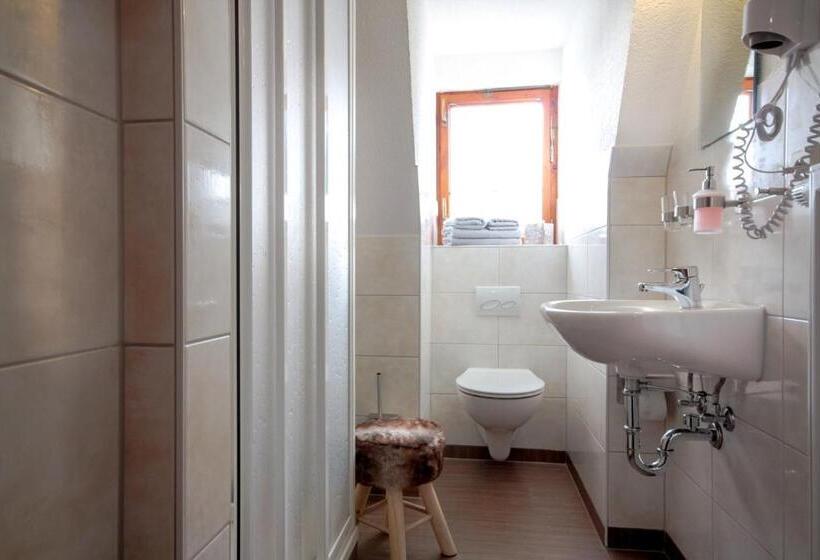 Номер Стандарт, Haus Am Berg Pension Direkt Am Skihang