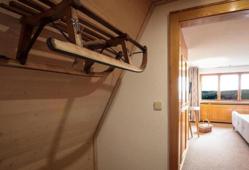 Номер Стандарт, Haus Am Berg   Pension Direkt Am Skihang