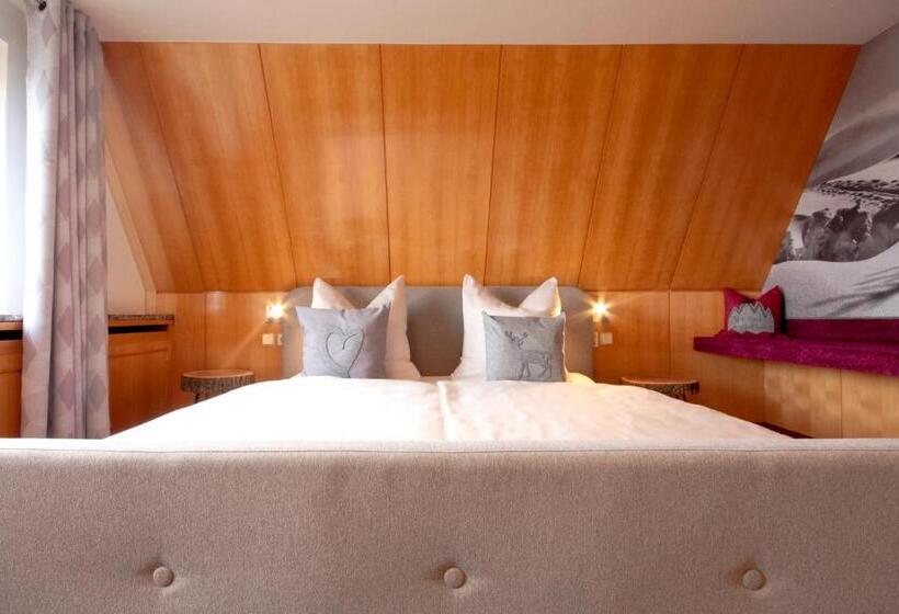 اتاق استاندارد, Haus Am Berg   Pension Direkt Am Skihang