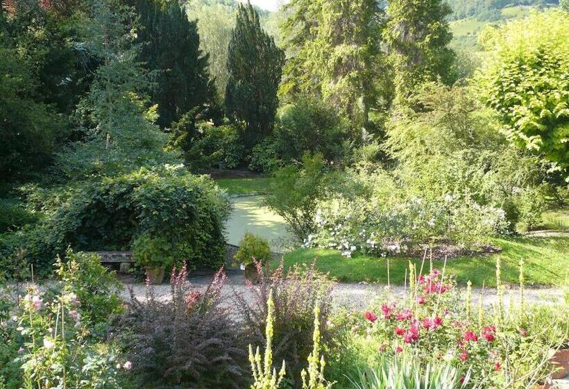 수피리어 룸, La Pluie De Roses