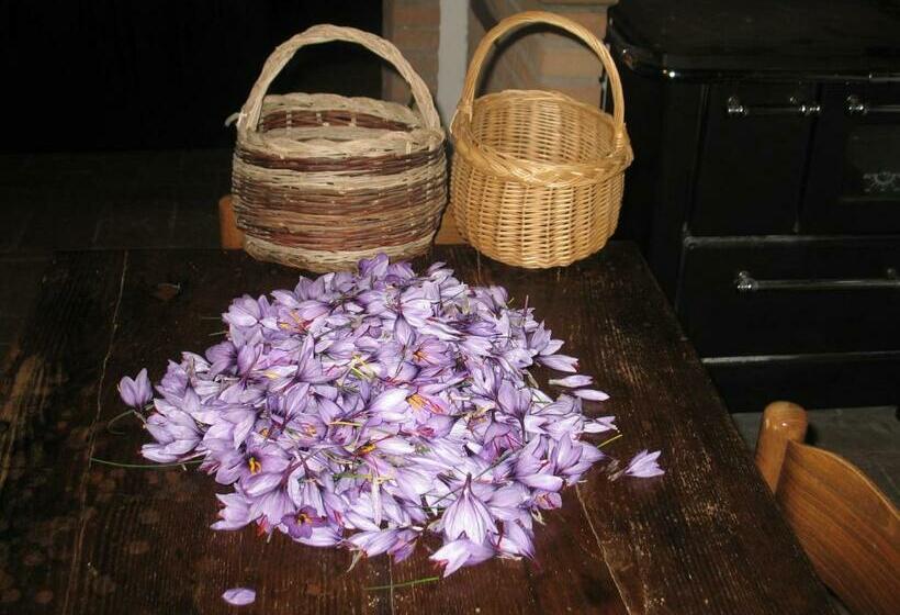 Апартаменты Внутренние 1 Спальня, Agriturismo Parzalla