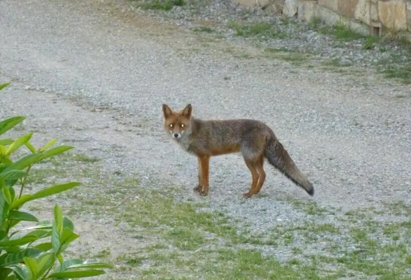 インサイド2ベッドルームアパートメント, Agriturismo Parzalla