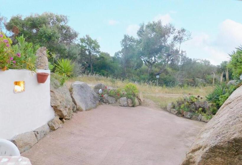 סטודיו משפחתי, Locanda Domus De Vida Turismo Rurale