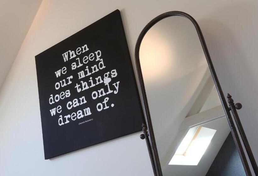 اتاق لوکس, B&b 2sprong