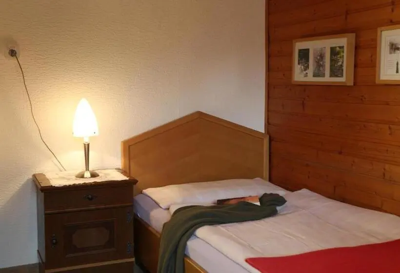 Standard Yhden Hengen Huone Jaettu Kylpyhuone, Bio & Vegi Pension Krennleiten