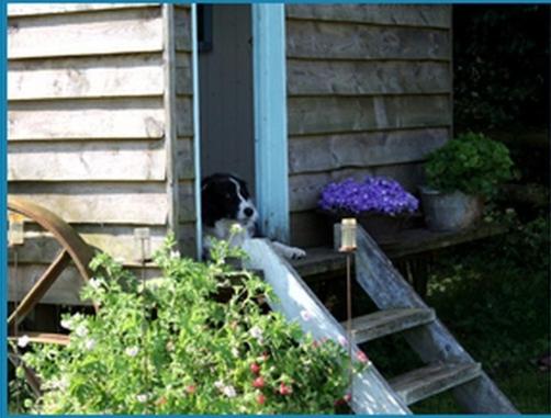 בקתה סטנדרטית, Mollies Hut