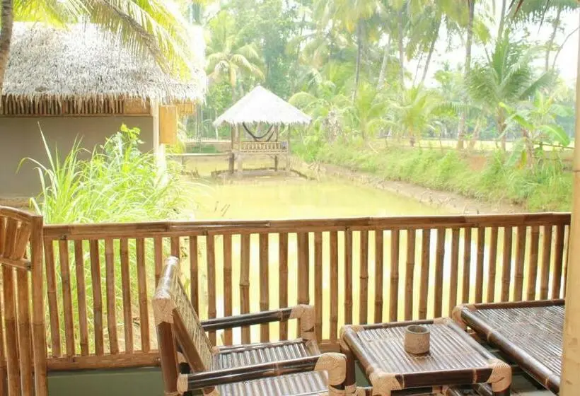 Standard Bungalow, Bale Ku
