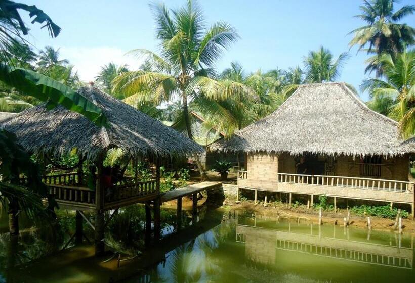 エコノミールーム, Bale Ku