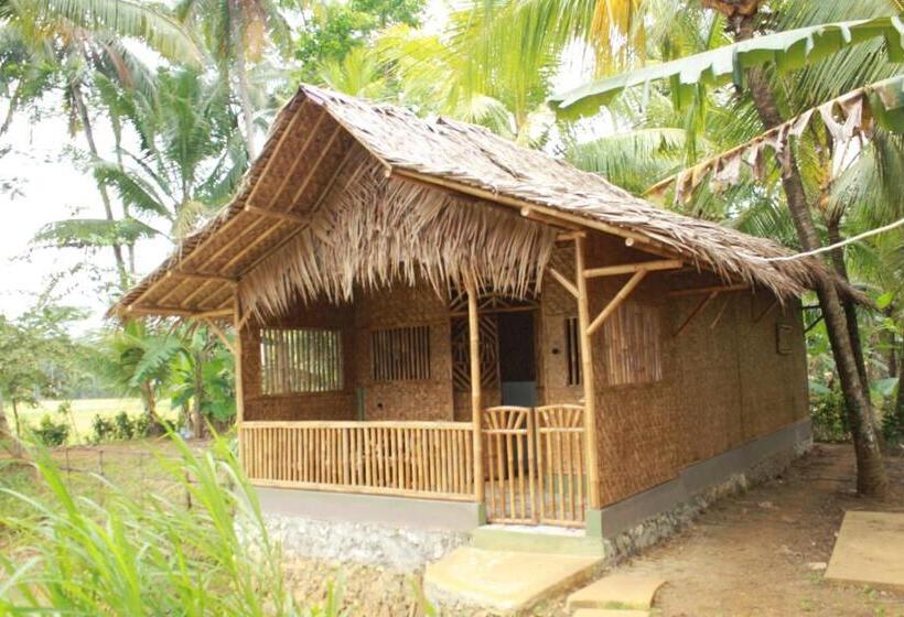 スタンダードバンガロー, Bale Ku