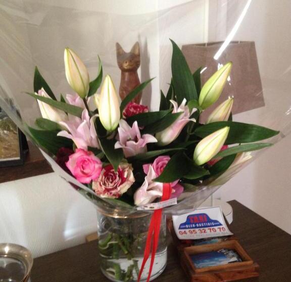 آپارتمان 1 خوابه, Villa Patrizia