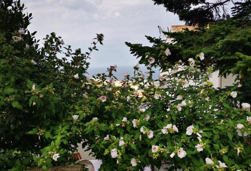 ویلای یک اتاق خوابه با استخر شنا, Villa Patrizia