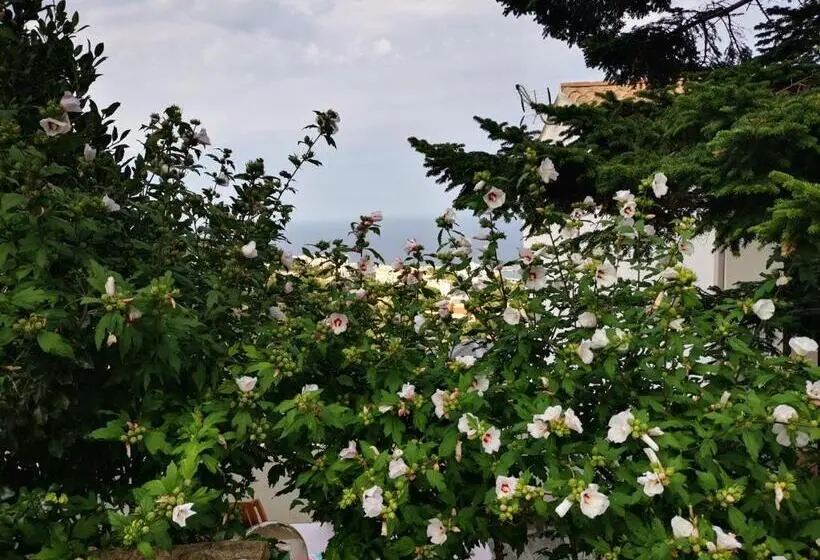 ویلای یک اتاق خوابه با استخر شنا, Villa Patrizia