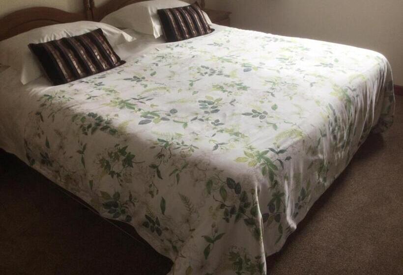 スタンダードルーム, Albertine