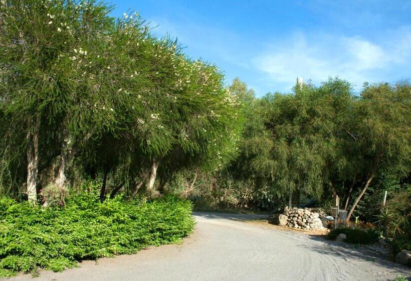 标准间, Il Vecchioliveto Di Ornella