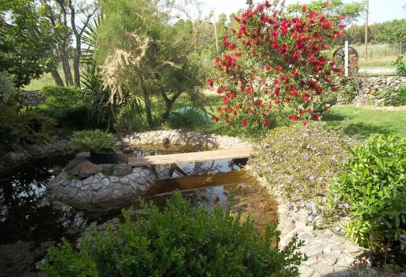 四人标准间, Il Vecchioliveto Di Ornella