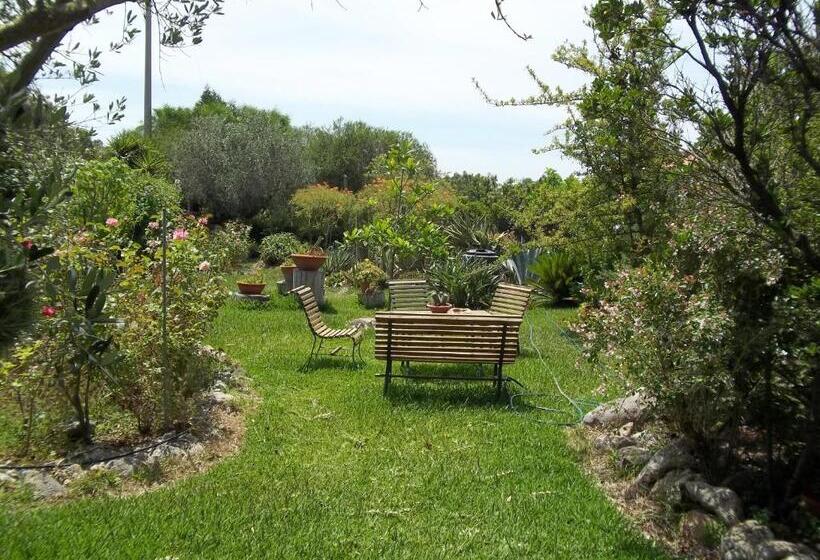 标准三人间, Il Vecchioliveto Di Ornella