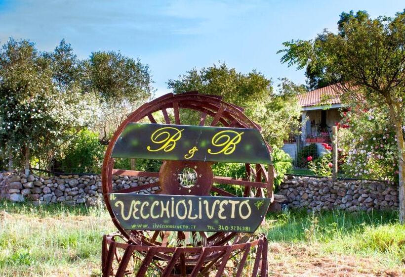 标准三人间, Il Vecchioliveto Di Ornella