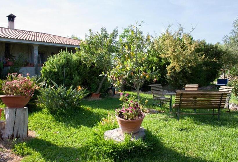 Номер Стандарт Трехместный, Il Vecchioliveto Di Ornella