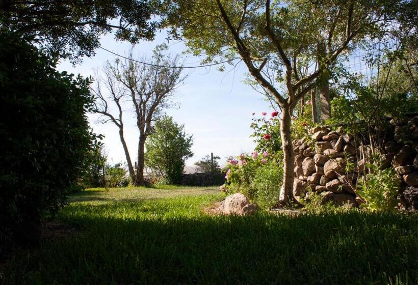 标准三人间, Il Vecchioliveto Di Ornella