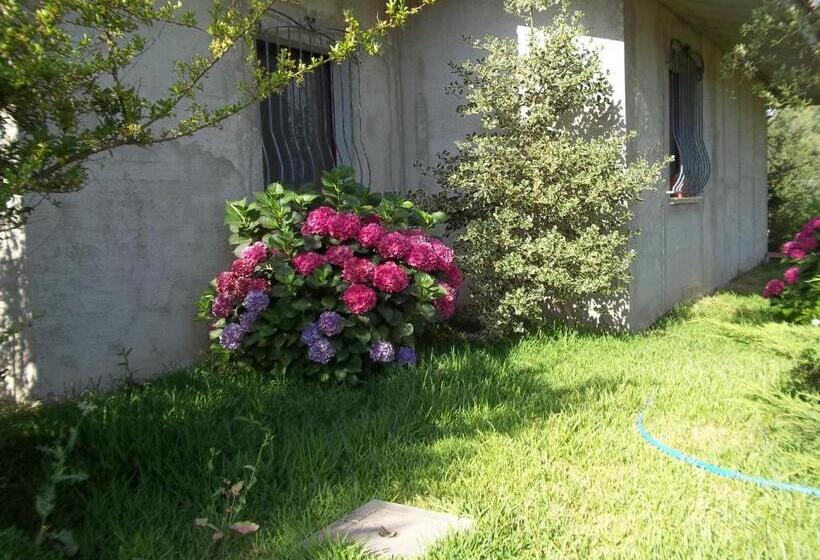 标准三人间, Il Vecchioliveto Di Ornella