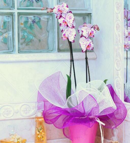 标准三人间, Il Vecchioliveto Di Ornella