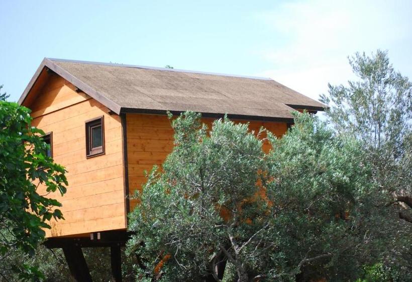 スーペリアーバンガロー, Palazzo Conforti Tree House Resort