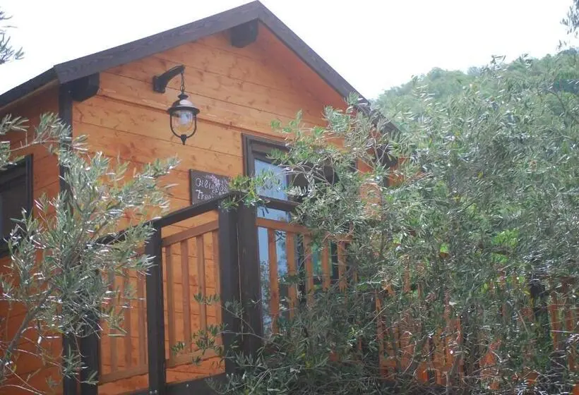 スーペリアーバンガロー, Palazzo Conforti Tree House Resort