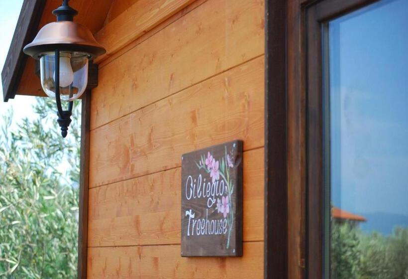 スーペリアーバンガロー, Palazzo Conforti Tree House Resort