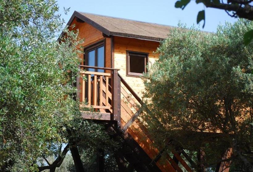 スーペリアーバンガロー, Palazzo Conforti Tree House Resort
